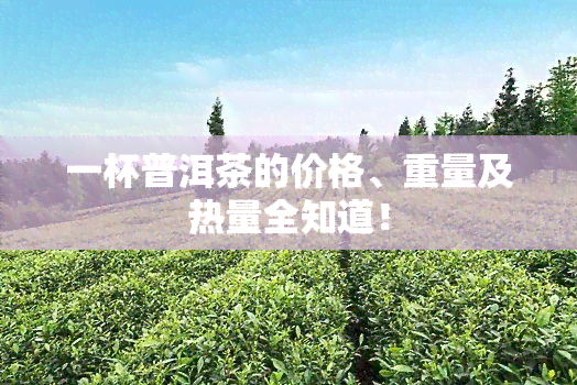 一杯普洱茶的价格、重量及热量全知道！