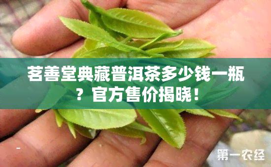 茗善堂典藏普洱茶多少钱一瓶？官方售价揭晓！