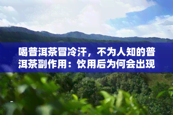 喝普洱茶冒冷汗，不为人知的普洱茶副作用：饮用后为何会出现冒冷汗的情况？