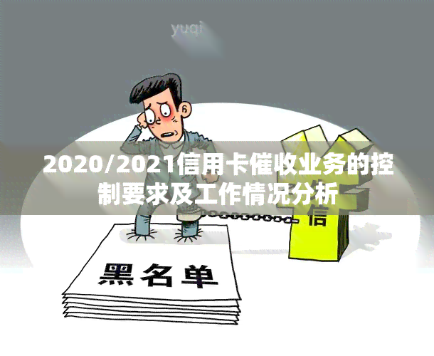 2020/2021信用卡业务的控制要求及工作情况分析