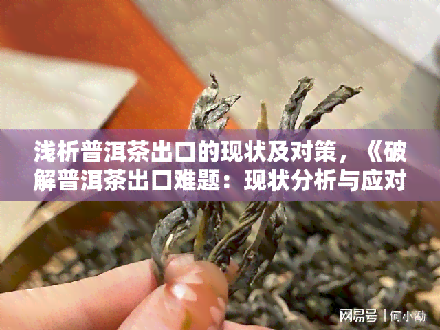 浅析普洱茶出口的现状及对策，《破解普洱茶出口难题：现状分析与应对策略》