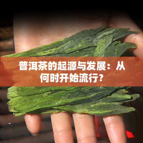 普洱茶的起源与发展：从何时开始流行？