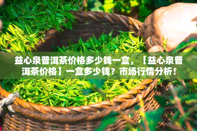 益心泉普洱茶价格多少钱一盒，【益心泉普洱茶价格】一盒多少钱？市场行情分析！