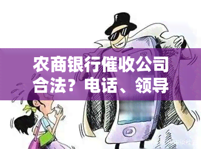 农商银行公司合法？电话、领导及相关问题全解析