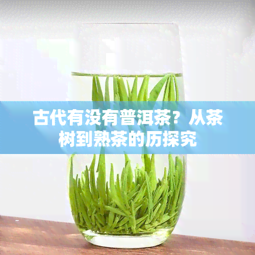 古代有没有普洱茶？从茶树到熟茶的历探究