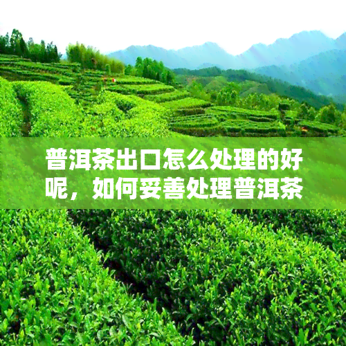 普洱茶出口怎么处理的好呢，如何妥善处理普洱茶出口？