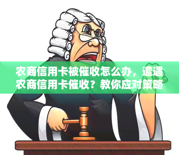 农商信用卡被怎么办，遭遇农商信用卡？教你应对策略！