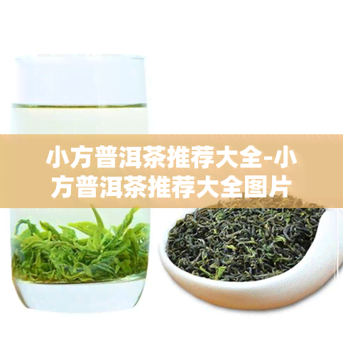 小方普洱茶推荐大全-小方普洱茶推荐大全图片