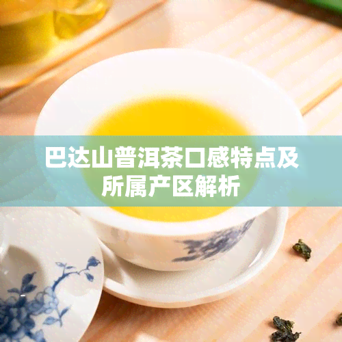 巴达山普洱茶口感特点及所属产区解析