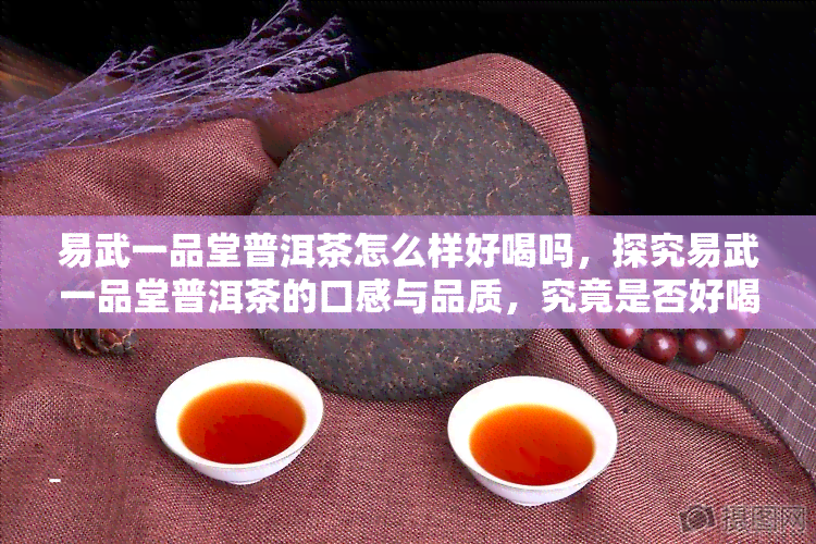 易武一品堂普洱茶怎么样好喝吗，探究易武一品堂普洱茶的口感与品质，究竟是否好喝？