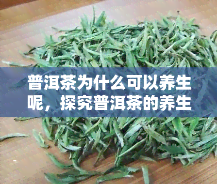 普洱茶为什么可以养生呢，探究普洱茶的养生功效，为何备受青睐？