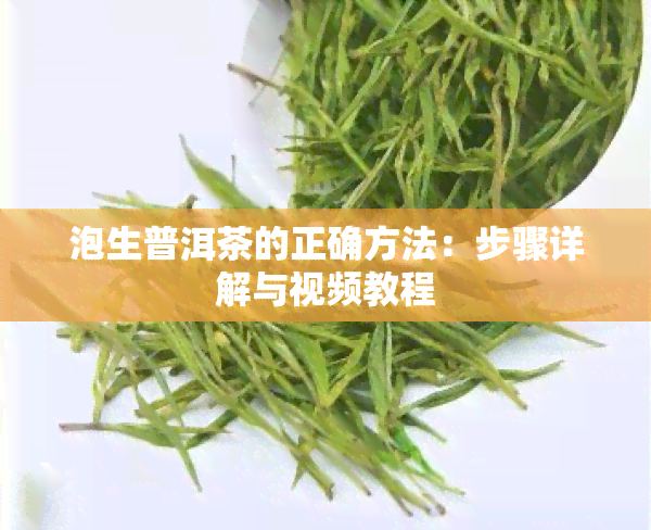 泡生普洱茶的正确方法：步骤详解与视频教程