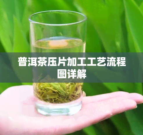 普洱茶压片加工工艺流程图详解