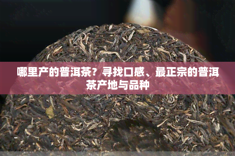 哪里产的普洱茶？寻找口感、最正宗的普洱茶产地与品种