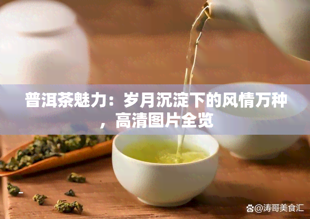 普洱茶魅力：岁月沉淀下的风情万种，高清图片全览