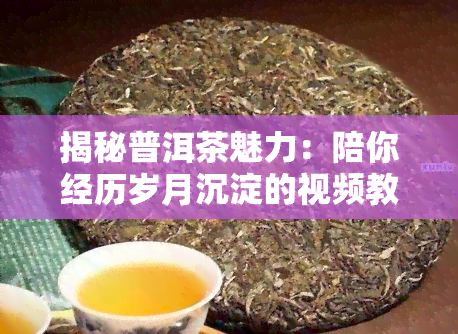 揭秘普洱茶魅力：陪你经历岁月沉淀的视频教程