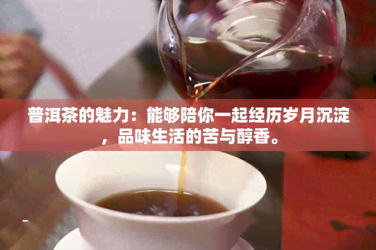 普洱茶的魅力：能够陪你一起经历岁月沉淀，品味生活的苦与醇香。