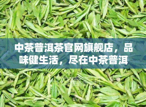 中茶普洱茶官网旗舰店，品味健生活，尽在中茶普洱茶官网旗舰店！