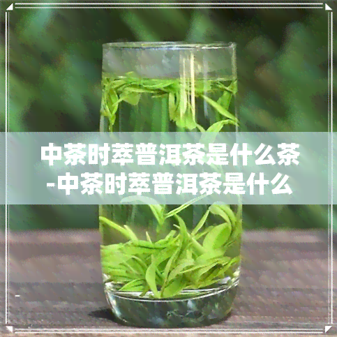 中茶时萃普洱茶是什么茶-中茶时萃普洱茶是什么茶叶