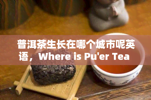 普洱茶生长在哪个城市呢英语，Where is Pu'er Tea Grown?