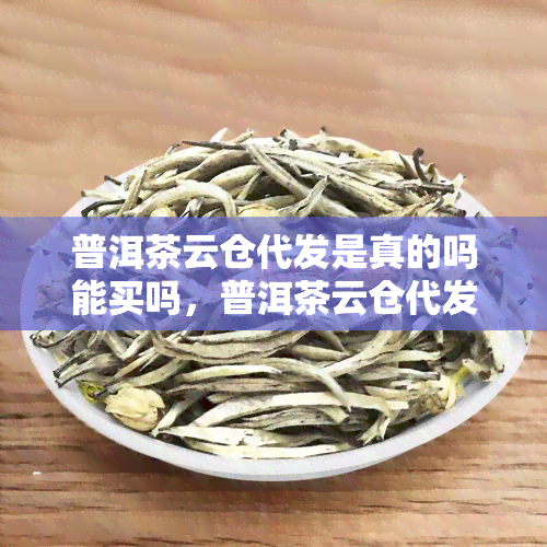 普洱茶云仓代发是真的吗能买吗，普洱茶云仓代发：真相大揭秘，你是否应该购买？