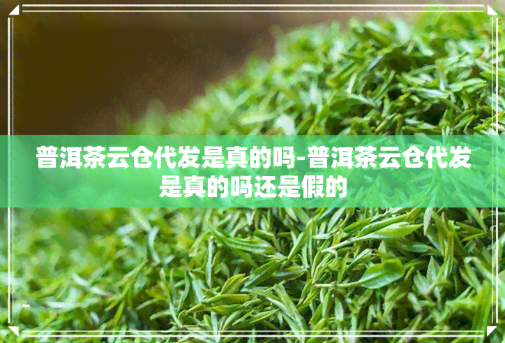 普洱茶云仓代发是真的吗-普洱茶云仓代发是真的吗还是假的