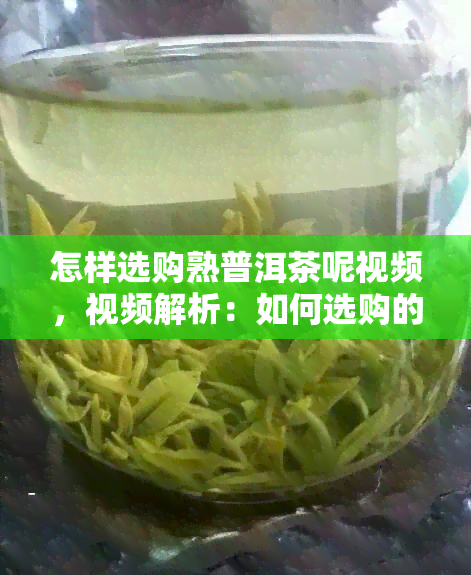 怎样选购熟普洱茶呢视频，视频解析：如何选购的熟普洱茶？