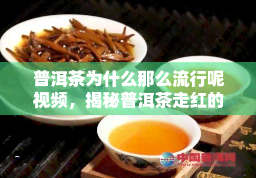 普洱茶为什么那么流行呢视频，揭秘普洱茶走红的背后原因：一探究竟！