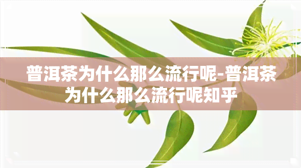 普洱茶为什么那么流行呢-普洱茶为什么那么流行呢知乎