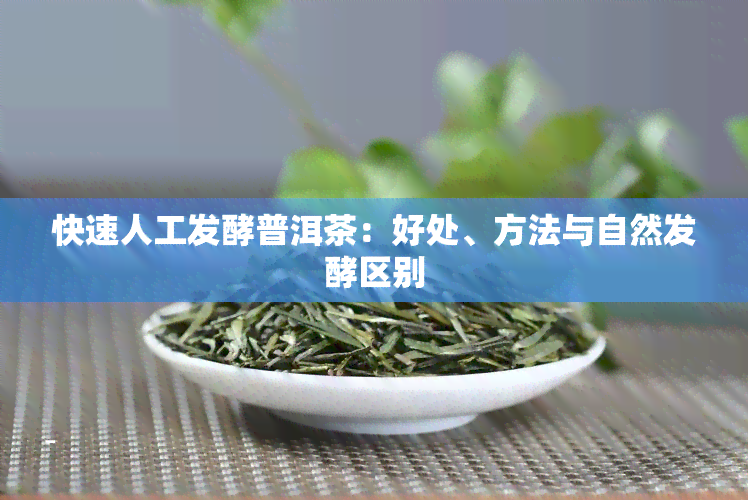 快速人工发酵普洱茶：好处、方法与自然发酵区别