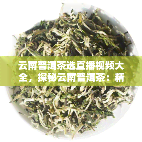 云南普洱茶选直播视频大全，探秘云南普洱茶：精选直播视频全收录！