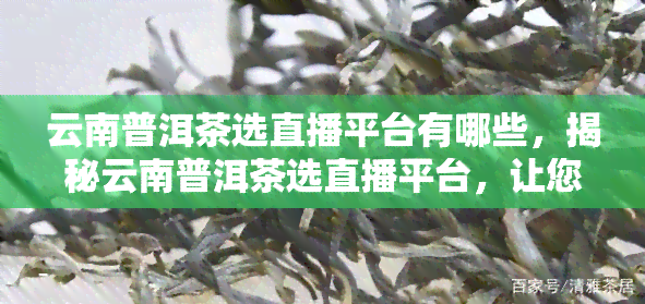 云南普洱茶选直播平台有哪些，揭秘云南普洱茶选直播平台，让您轻松选购优质茶叶！