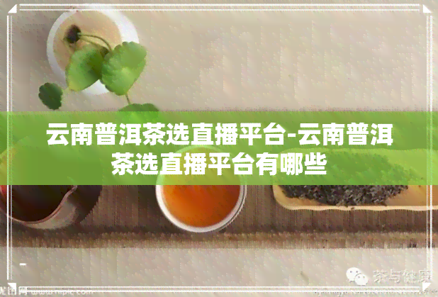 云南普洱茶选直播平台-云南普洱茶选直播平台有哪些