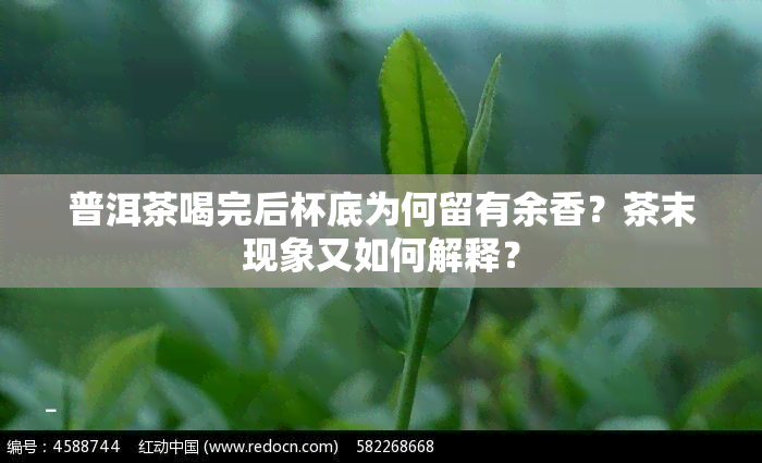 普洱茶喝完后杯底为何留有余香？茶末现象又如何解释？