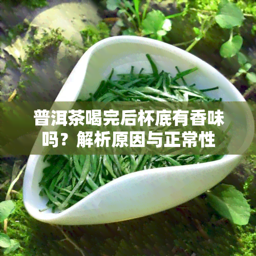 普洱茶喝完后杯底有香味吗？解析原因与正常性