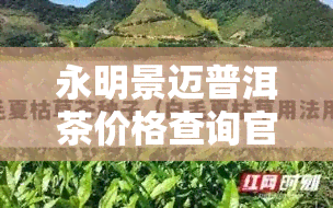 永明景迈普洱茶价格查询官网，官方推荐：永明景迈普洱茶最新价格查询平台