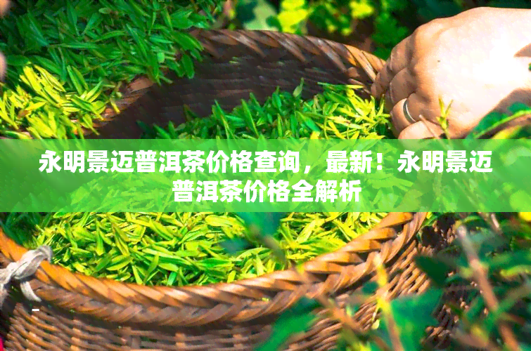 永明景迈普洱茶价格查询，最新！永明景迈普洱茶价格全解析