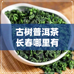 古树普洱茶长春哪里有卖-古树普洱茶长春哪里有卖的