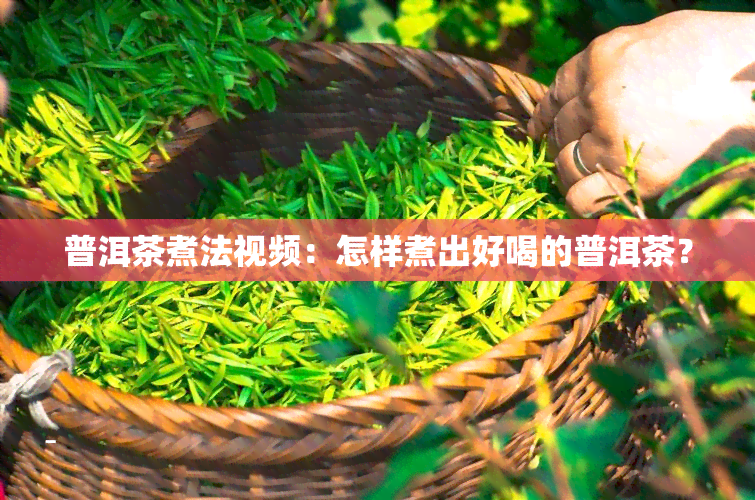 普洱茶煮法视频：怎样煮出好喝的普洱茶？