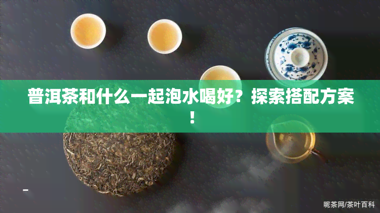 普洱茶和什么一起泡水喝好？探索搭配方案！