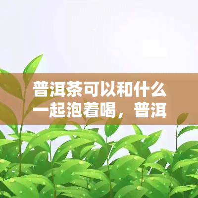 普洱茶可以和什么一起泡着喝，普洱茶的搭档：揭秘能提升口感的神奇配料