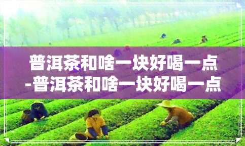 普洱茶和啥一块好喝一点-普洱茶和啥一块好喝一点呢