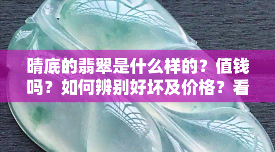 晴底的翡翠是什么样的？值钱吗？如何辨别好坏及价格？看图了解晴底翡翠原石和价格！