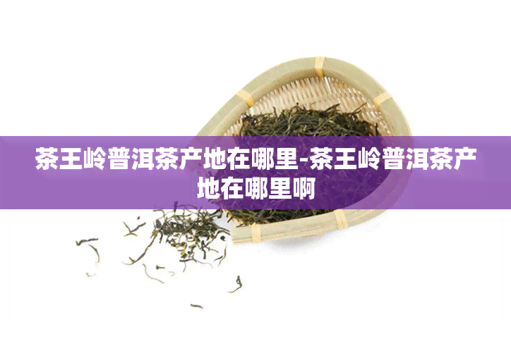 茶王岭普洱茶产地在哪里-茶王岭普洱茶产地在哪里啊