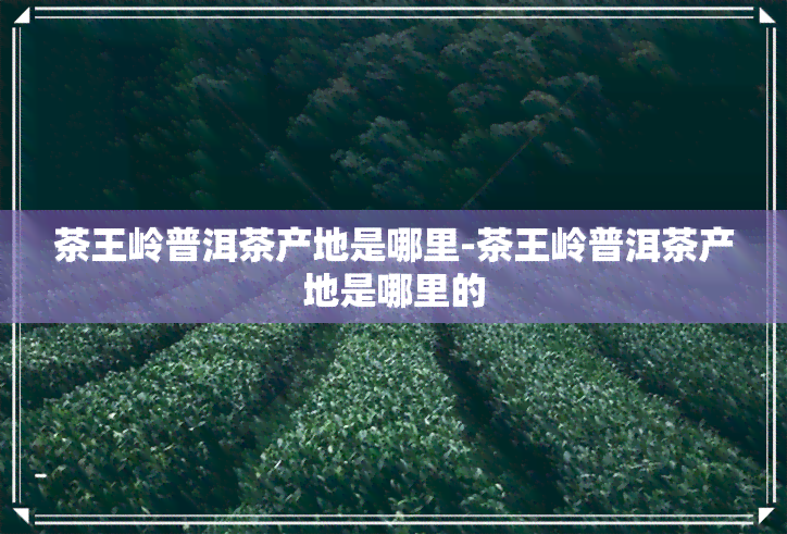 茶王岭普洱茶产地是哪里-茶王岭普洱茶产地是哪里的