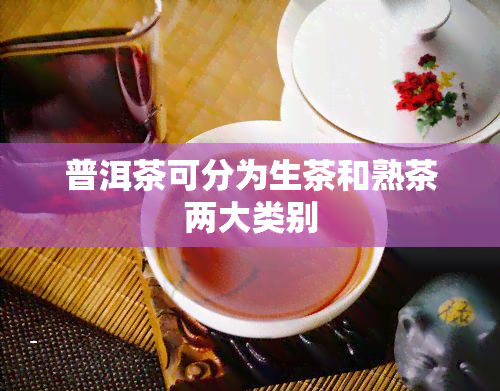 普洱茶可分为生茶和熟茶两大类别