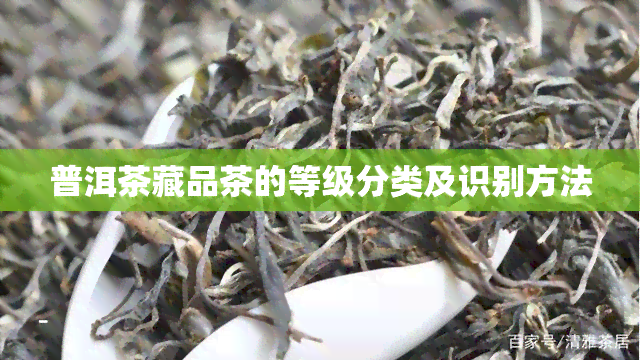 普洱茶藏品茶的等级分类及识别方法