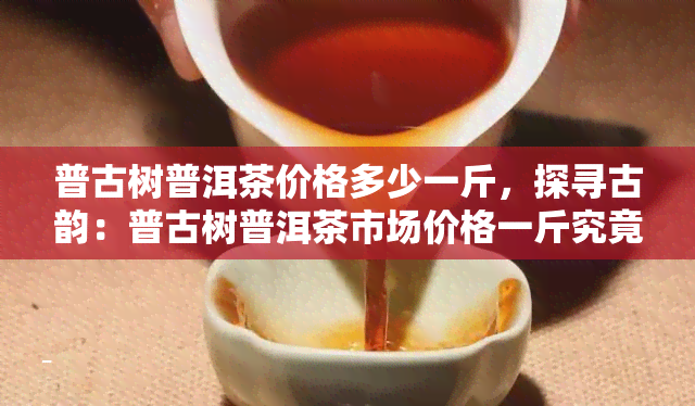 普古树普洱茶价格多少一斤，探寻古韵：普古树普洱茶市场价格一斤究竟几何？