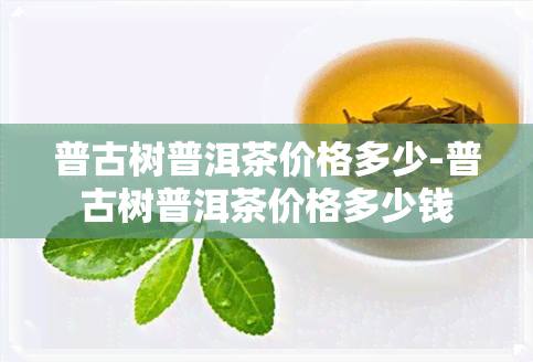 普古树普洱茶价格多少-普古树普洱茶价格多少钱