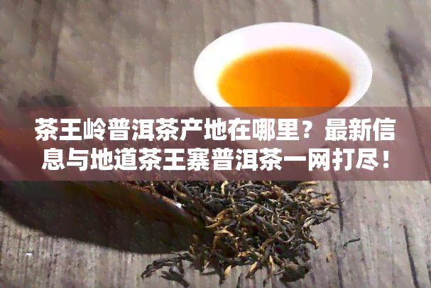 茶王岭普洱茶产地在哪里？最新信息与地道茶王寨普洱茶一网打尽！